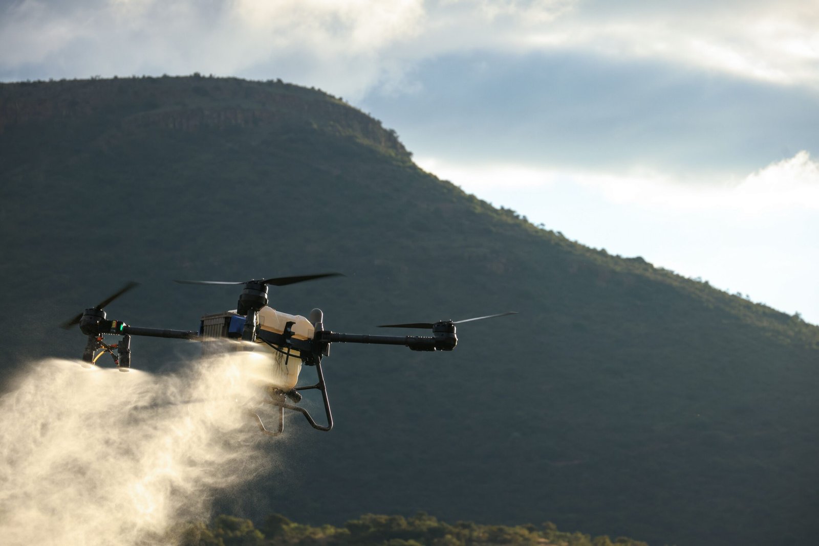 Instructeur et stagiaire lors d'une formation pratique démoussage par drone
